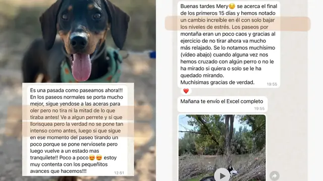 Conversación de WhatsApp con avances de una familia de ORIGEN