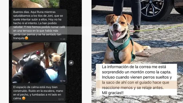 Conversación de WhatsApp con avances de una familia de ORIGEN