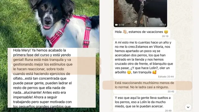 Conversación de WhatsApp con avances de una familia de ORIGEN