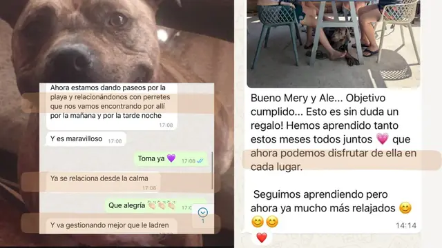 Conversación de WhatsApp con avances de una familia de ORIGEN