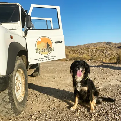 Noa de aventura junto al 4x4
