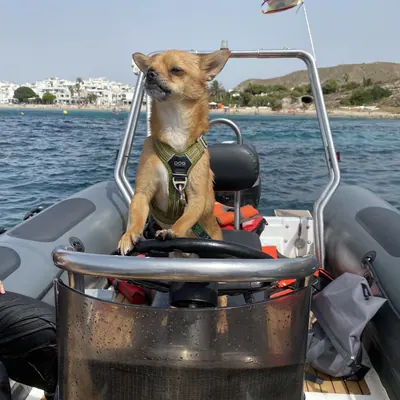 De travesía en la lancha