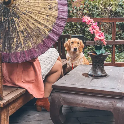 Bajo la sombrilla en la terraza