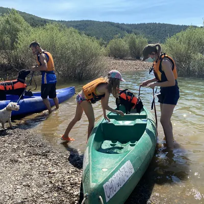 Kayaks con perros en el pantano