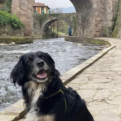 Noa en un pueblo con puente de piedra