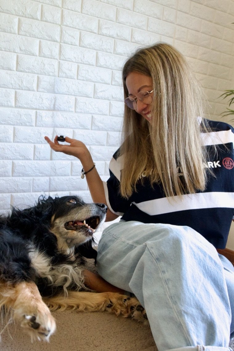 Mery Calvo trabajando con Noa con un clicker, en calma