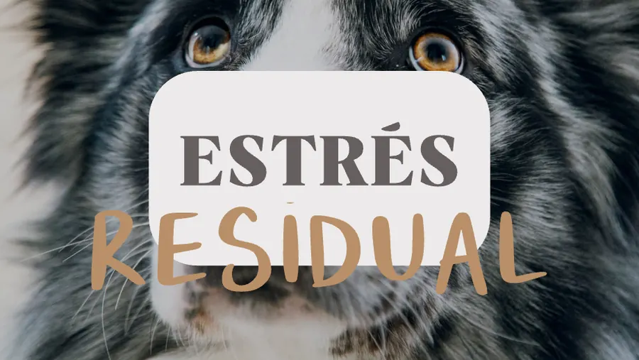 Fase 1: estrés residual